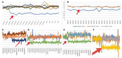 Phelan–McDermid Syndrome in Pediatric Patients With Novel Mutations: Genetic and Phenotypic Analyses